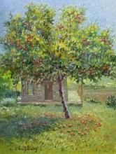 The apple tree with fruit