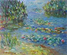 Water Lilies in the lake